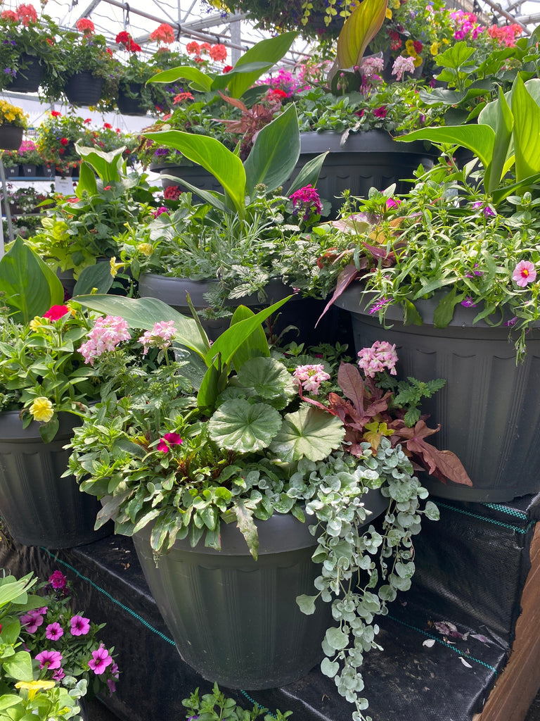 How to Keep Your Planters Looking Like the Day You Bought Them