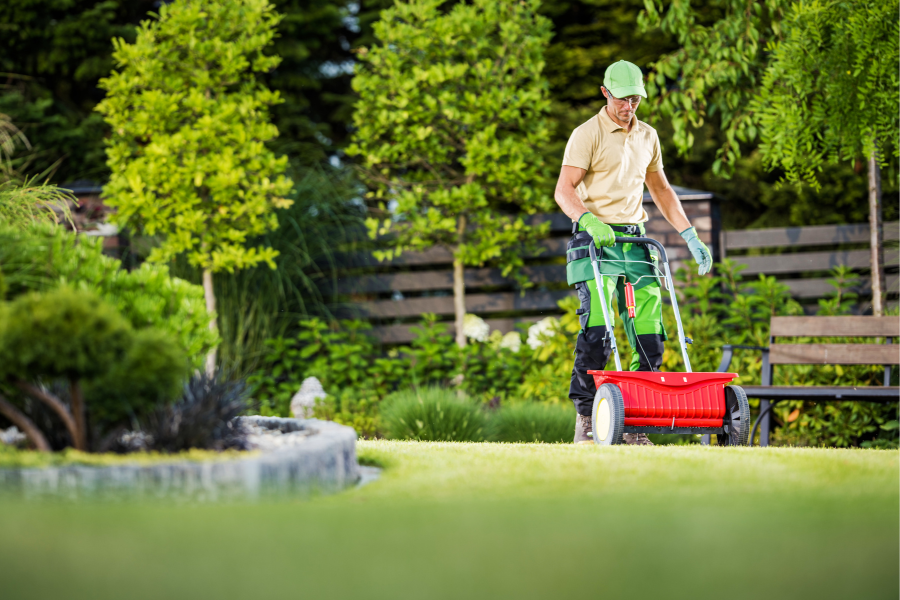 Addressing Drought Damage in Your Lawn This Fall