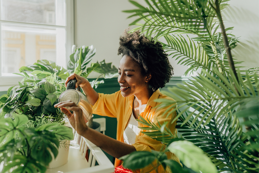 Caring for our Plants Through the Winter