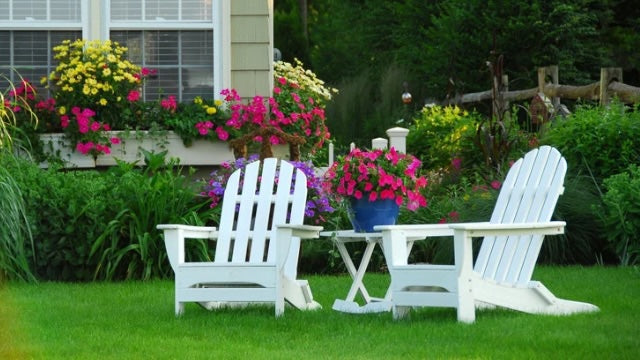 Look After Your Gardens & Lawn While You Are Away