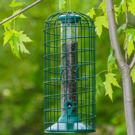 Small bird feeder 2024 cage
